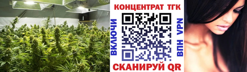 ТГК концентрат Калтан